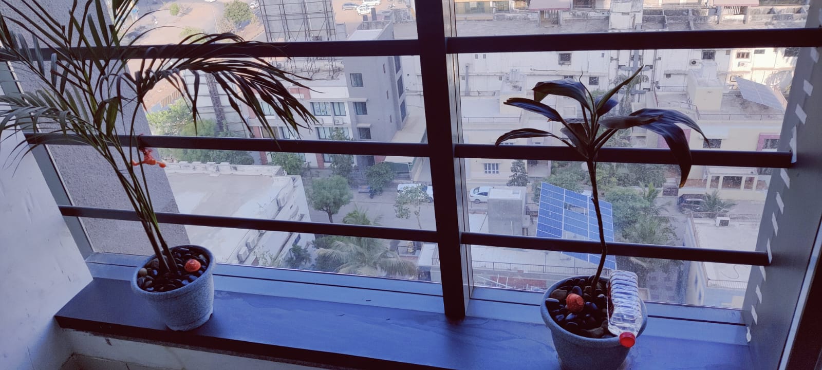 834 Sq. Ft. Commercial Office for Rent in Science City Ahmedabad - Media 20