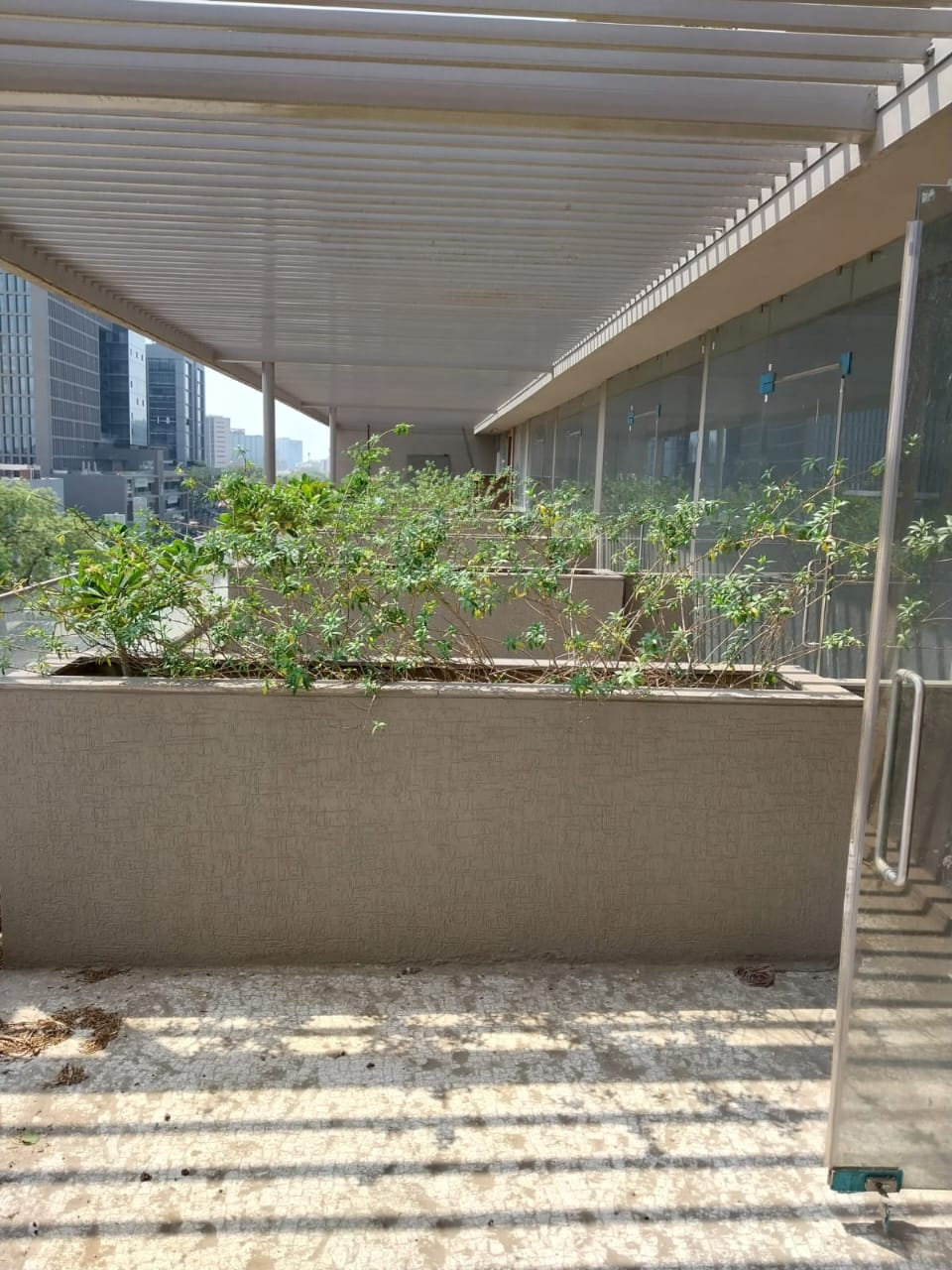 1405 Sq. Ft. Commercial Office for Rent in Thaltej Ahmedabad