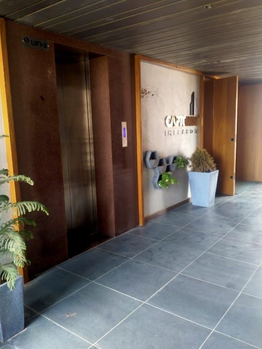 705 Sq. Ft. Commercial Office for Rent in Thaltej Ahmedabad - Media 8