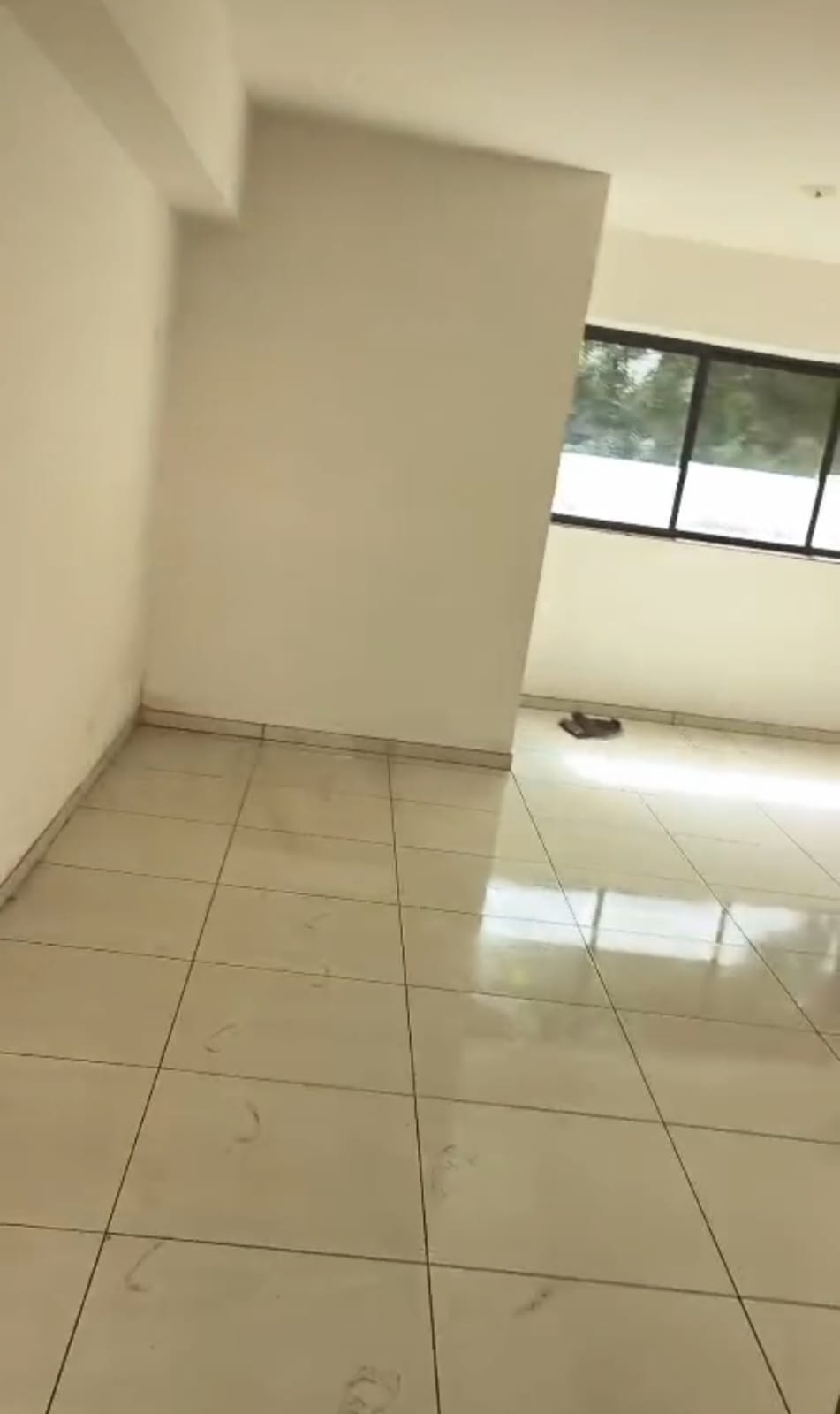 650 Sq. Ft. Commercial Office for Rent in Cg Road Ahmedabad - Media 3